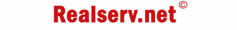 RealServ.net
